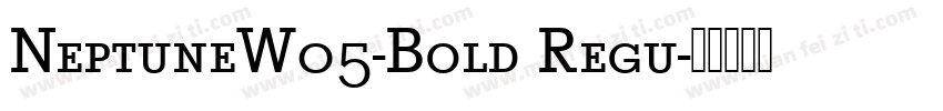 NeptuneW05-Bold Regu字体转换